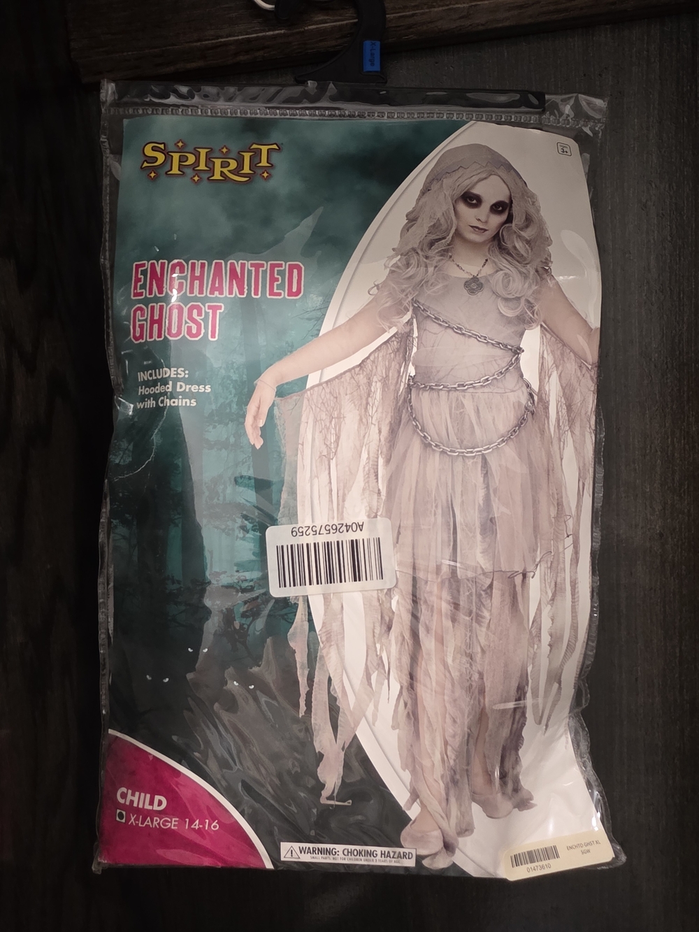 Spirit Halloween Enchanted Ghost Child X-Large (14-16) Hooded Dress With Chains
